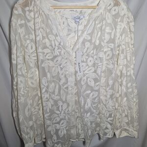 Chiffon Embroidered Shirt